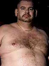 Hung Chubby Bear